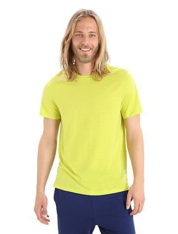 Shine Icebreaker Merino Sphere II Short Sleeve Men's T Shirts | AU 1151OKIR